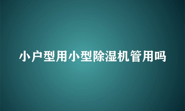 小户型用小型除湿机管用吗
