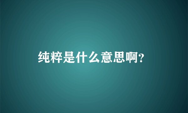 纯粹是什么意思啊？