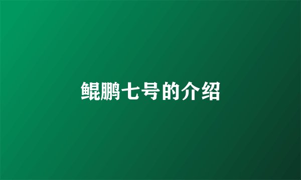 鲲鹏七号的介绍