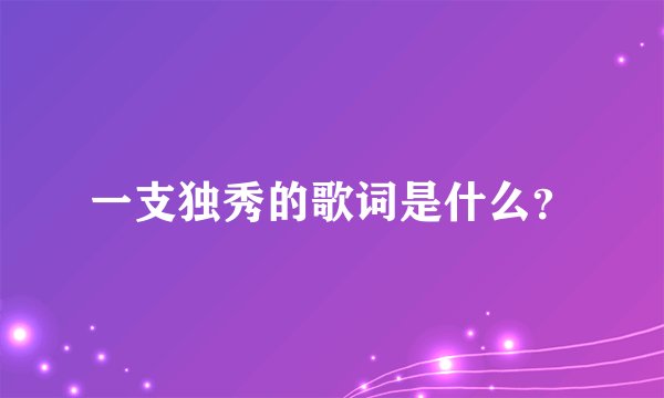 一支独秀的歌词是什么？