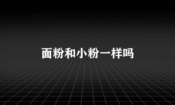 面粉和小粉一样吗