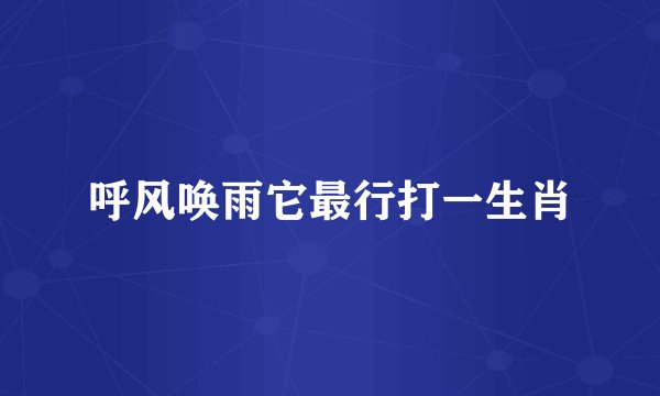呼风唤雨它最行打一生肖