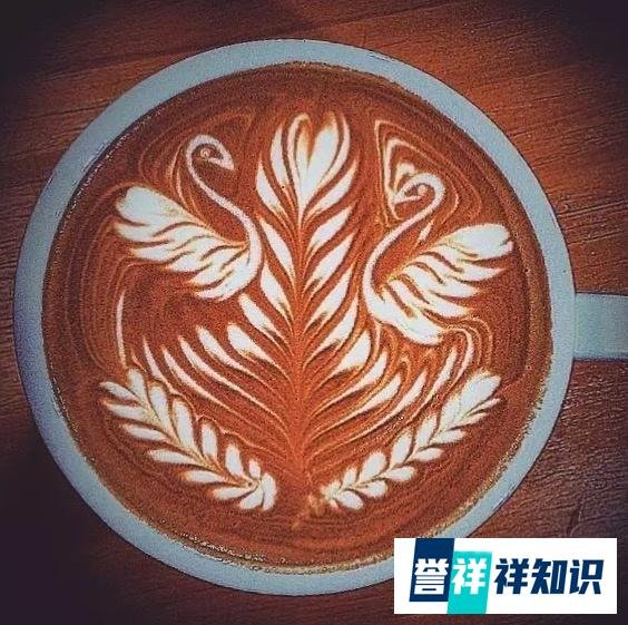 咖啡拉花用什么奶好?