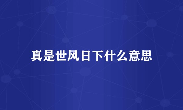真是世风日下什么意思