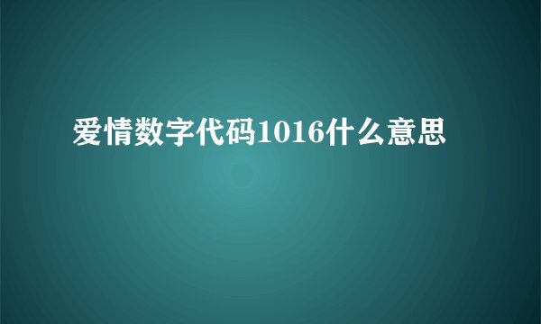 爱情数字代码1016什么意思