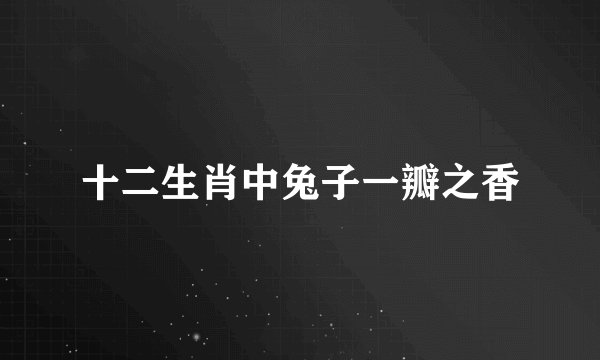 十二生肖中兔子一瓣之香