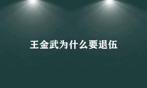 王金武为什么要退伍