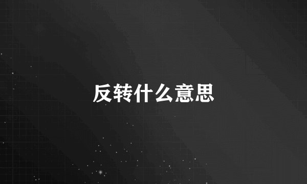 反转什么意思