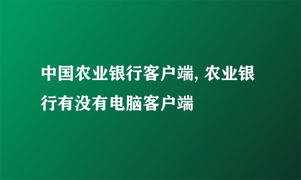 中国农业银行客户端, 农业银行有没有电脑客户端