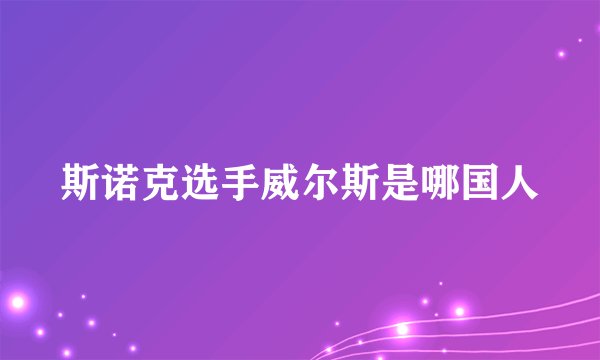 斯诺克选手威尔斯是哪国人