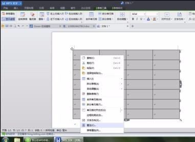 wps怎么弄图表目录啊？