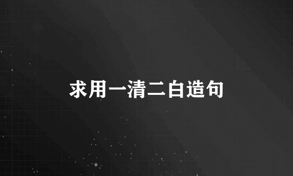 求用一清二白造句