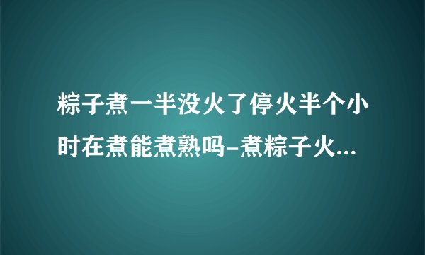 粽子煮一半没火了停火半个小时在煮能煮熟吗-煮粽子火灭了会夹生吗
