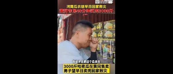 市民40分钟买完河南瓜农3000斤瓜