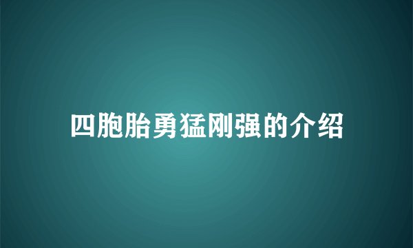 四胞胎勇猛刚强的介绍