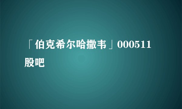 「伯克希尔哈撒韦」000511股吧