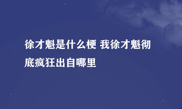 徐才魁是什么梗 我徐才魁彻底疯狂出自哪里