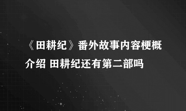 《田耕纪》番外故事内容梗概介绍 田耕纪还有第二部吗