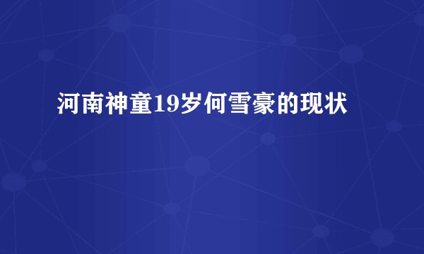 河南神童19岁何雪豪的现状