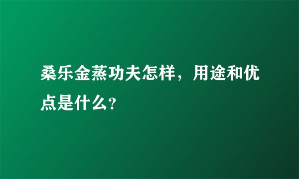 桑乐金蒸功夫怎样，用途和优点是什么？