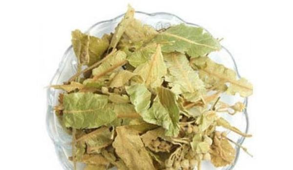 什么是叶茶