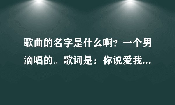 歌曲的名字是什么啊？一个男滴唱的。歌词是：你说爱我就跟我走，勇敢?