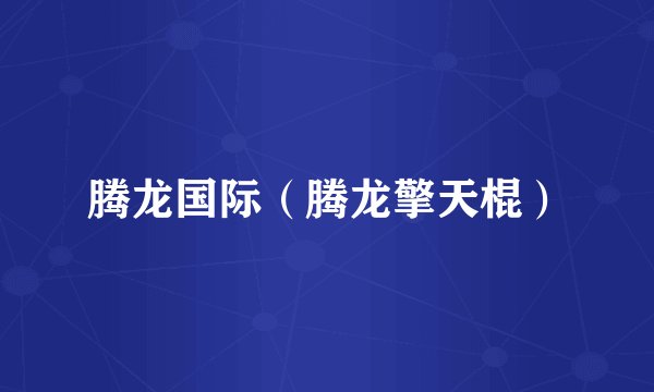 腾龙国际（腾龙擎天棍）