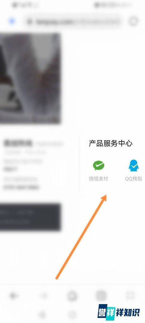 财付通是哪个平台的支付怎么查询
