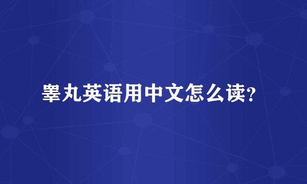 睾丸英语用中文怎么读？