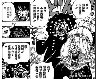 海贼王897路飞赢了吗