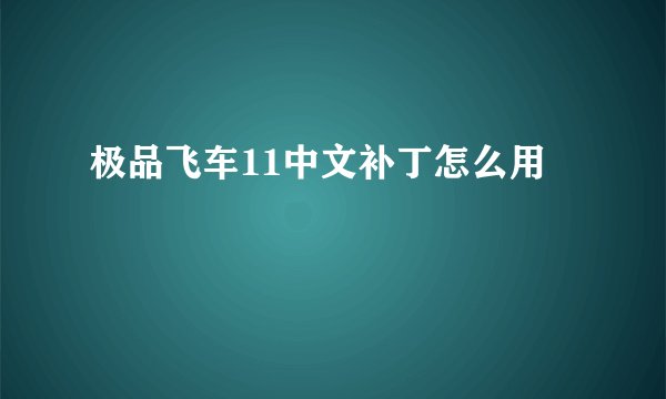 极品飞车11中文补丁怎么用