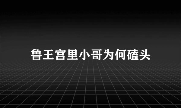 鲁王宫里小哥为何磕头