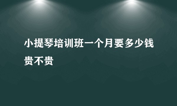 小提琴培训班一个月要多少钱贵不贵
