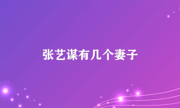 张艺谋有几个妻子
