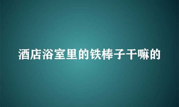 酒店浴室里的铁棒子干嘛的