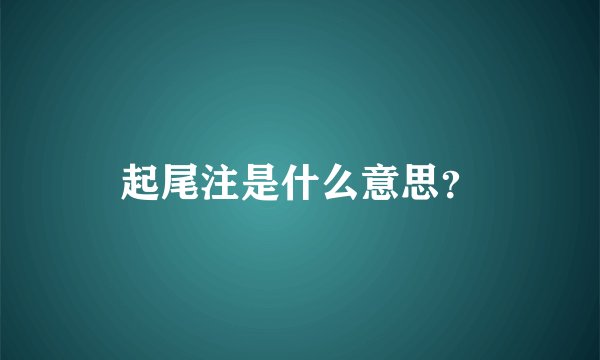 起尾注是什么意思？