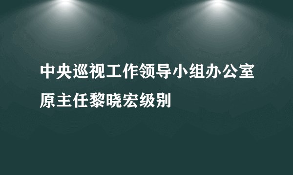 中央巡视工作领导小组办公室原主任黎晓宏级别