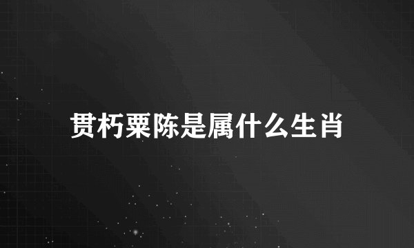 贯朽粟陈是属什么生肖