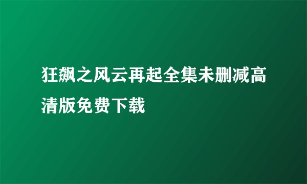 狂飙之风云再起全集未删减高清版免费下载