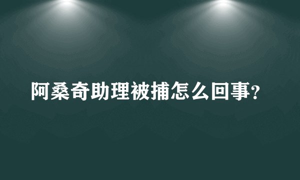 阿桑奇助理被捕怎么回事？