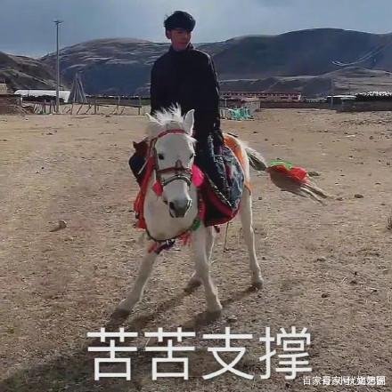 丁真赛马落败站冠军面前强颜欢笑,获颁“永远的赛马王子”奖,你怎么看呢?