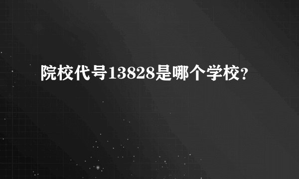 院校代号13828是哪个学校？