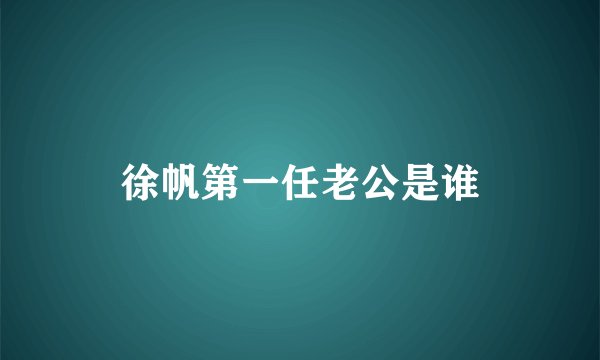 徐帆第一任老公是谁
