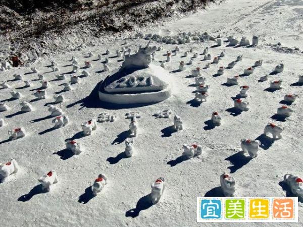 滑雪场员工堆100个雪牛迎新年 这是咋情况？