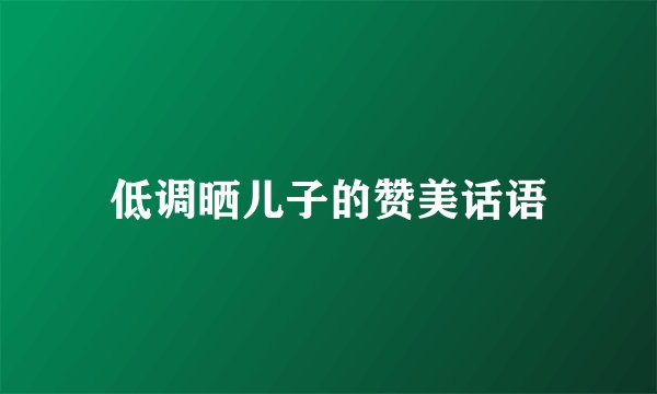 低调晒儿子的赞美话语