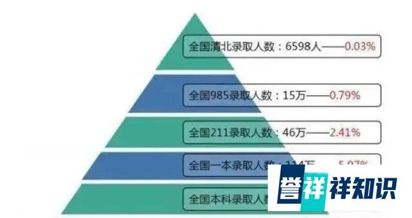 考上985却自嘲是“废物”，这些“天子骄子”缘何如此焦虑？