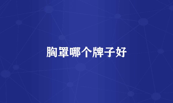 胸罩哪个牌子好