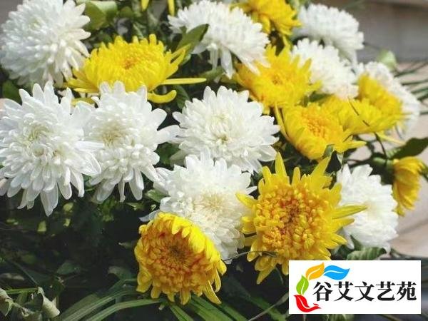 尘世