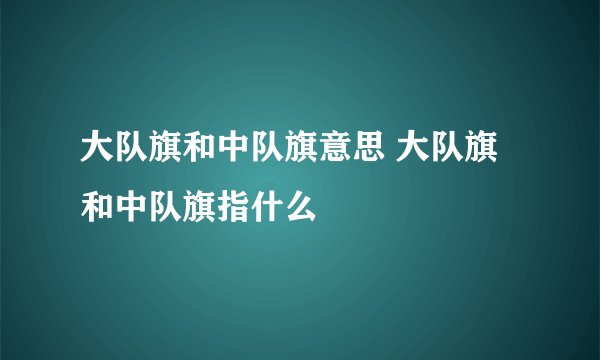 大队旗和中队旗意思 大队旗和中队旗指什么