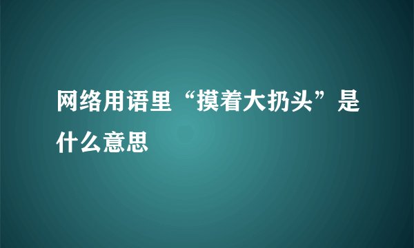网络用语里“摸着大扔头”是什么意思
